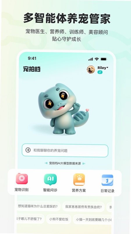 宠拍档 安装失败 解决办法