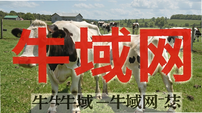 牛域网