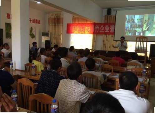 花炮联盟安全知识页面