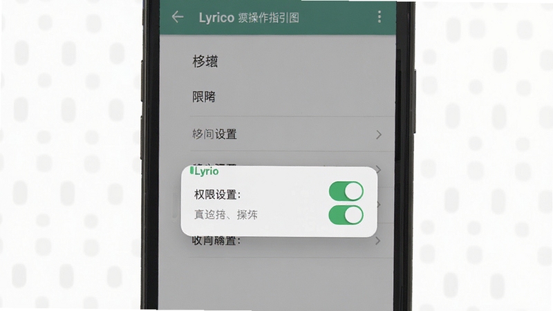 Lyrico 权限设置操作指引图,手机屏幕展示权限管理界面,悬浮窗开关处于开启状态,背景为浅灰色系统设置风格,画面简洁明了