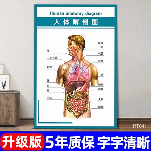 BILI官方下载安装包