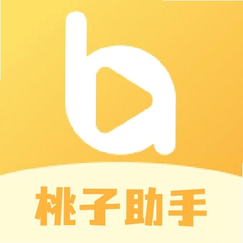 桃枫助手app免费下载最新版本功能演示