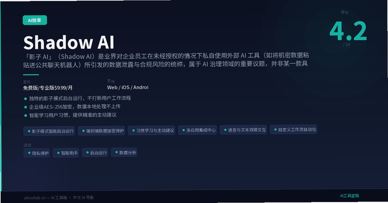 Shadow Ai ��ȫʹ��˵��