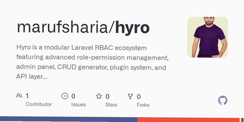 Hyro 安装设置界面