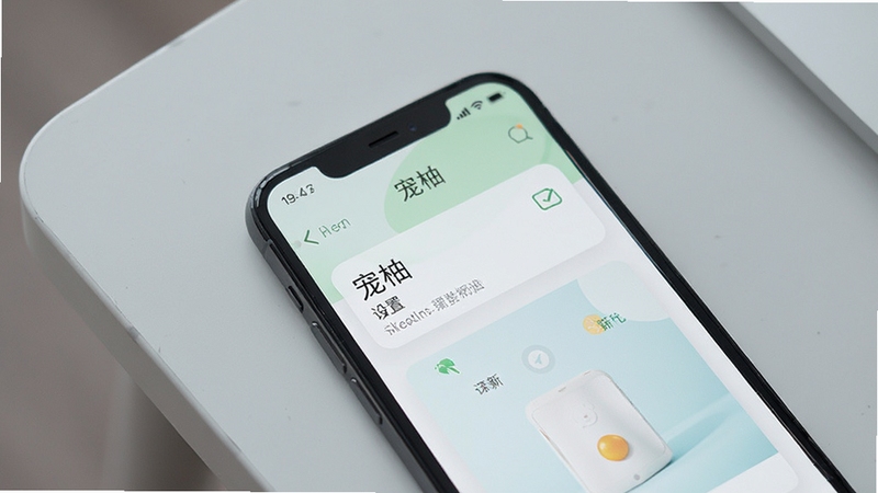 手机界面特写,展示宠柚设置页面与清新配色方案,背景为浅灰桌面,画面风格简约现代,体现界面设计的易用性