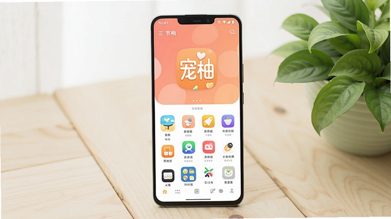 画面主体为一部竖屏安卓手机居中放置,屏幕中显示宠柚应用主界面,背景为浅色木质桌面与绿植点缀,整体风格清新明亮,突出软件图标与界面布局,适配产品展示类视觉