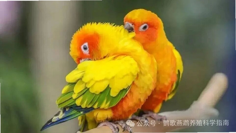 ����� ѵ����¼����