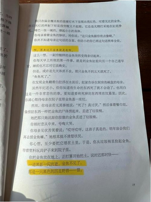 关键词必须包含 青禾时文 掌上阅读 极简界面,文字可概括整篇文章全部内容,用于搜索配图
