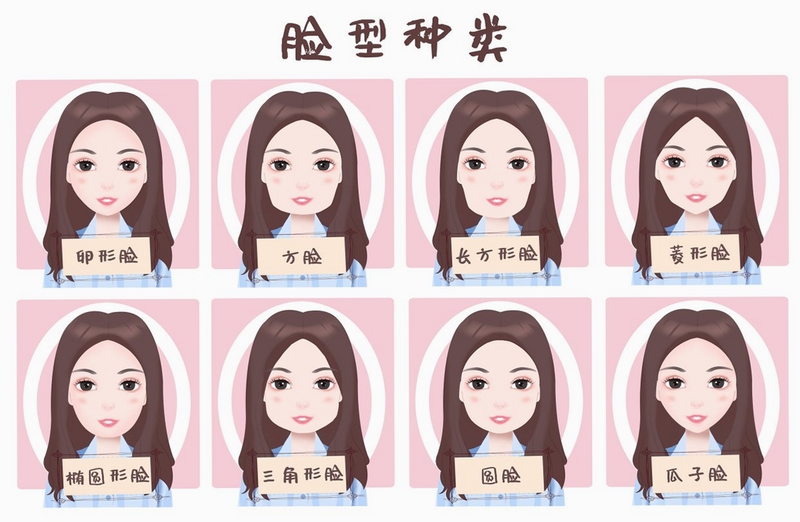 脸型测试大师脸型分类图解