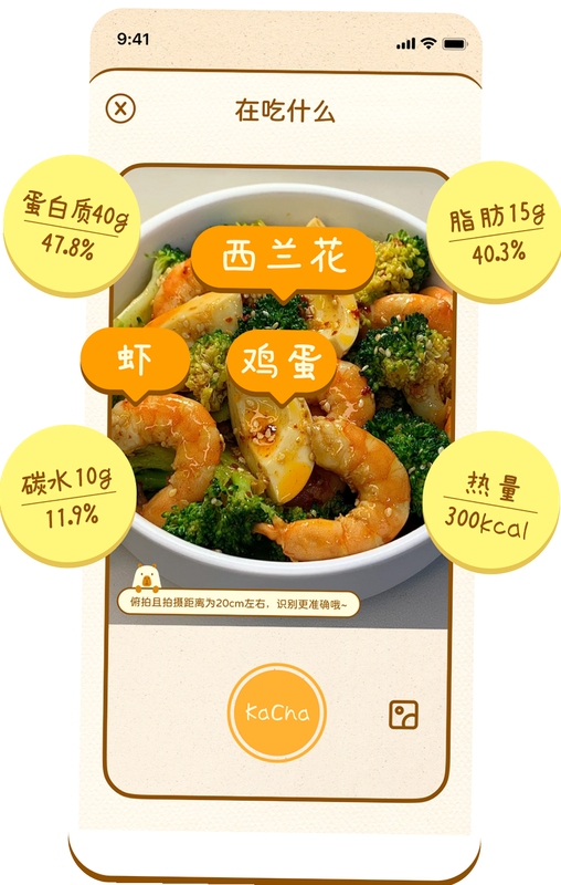 食刻 饮食记录 界面