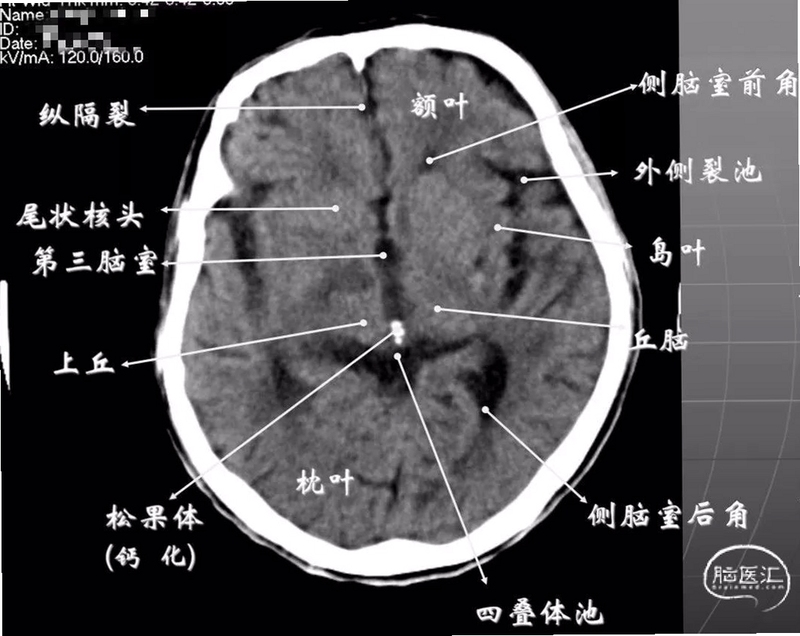 小黄鱼 闲置交易 界面截图