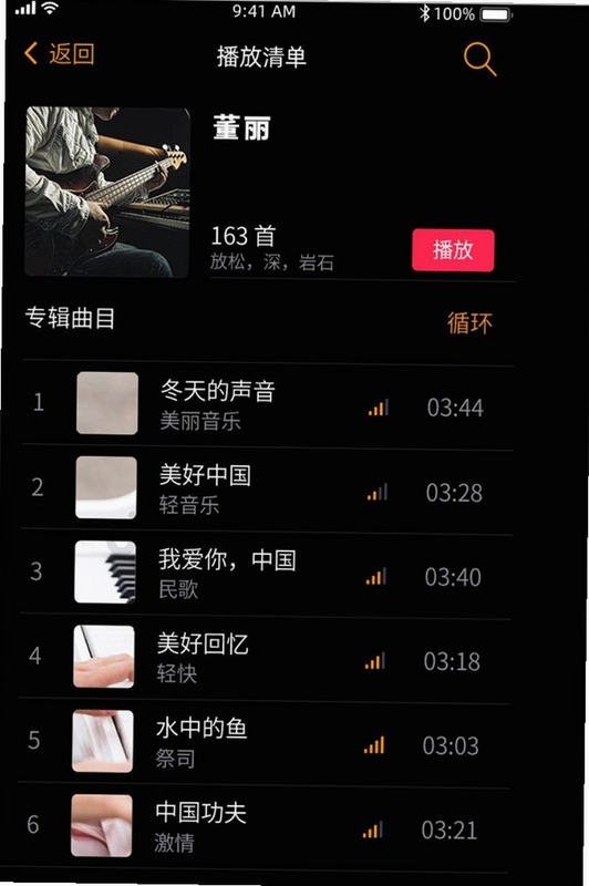 IRIS Music 播放列表管理界面
