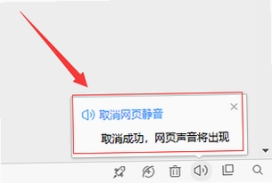 IRIS Music 播放无声解决办法