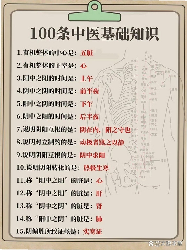 必然中医 中医基础知识