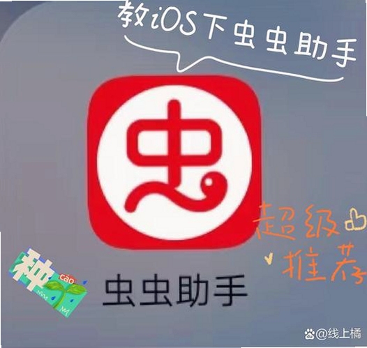 虫虫助手app2026官方版游戏盒子下载最新版界面截图
