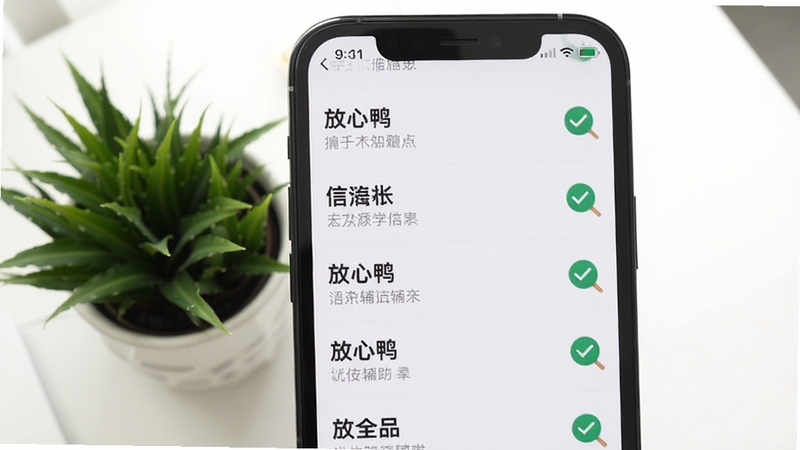 画面为放心鸭应用内信息列表页面的放大展示,手机屏幕中条目排列整齐,标题加粗、辅助说明为浅灰色小字,旁边配有放大镜与对勾图标,背景为干净的白色桌面与一盆绿植,整体风格简约清晰,突出信息层级分明的视觉感受