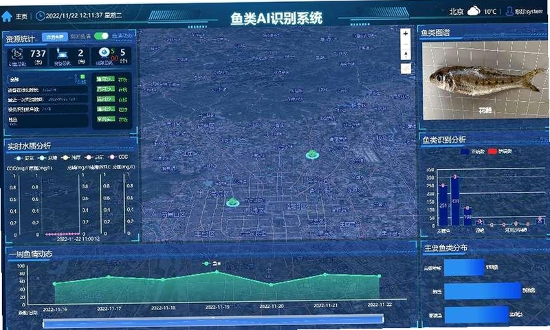 鲸渔 网络检测 界面