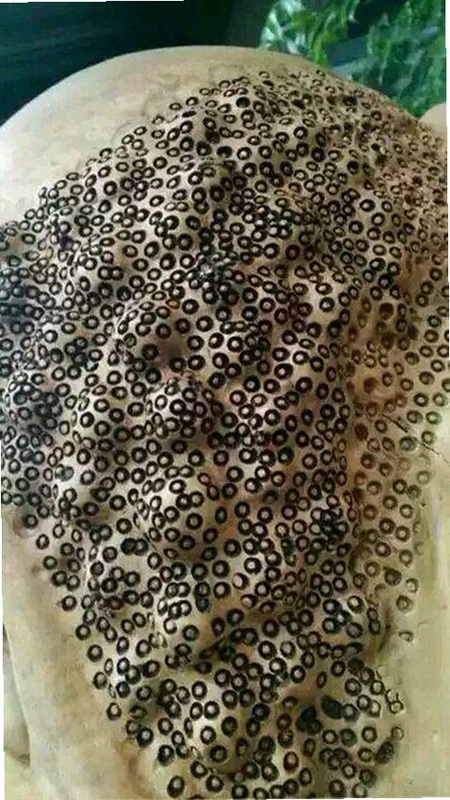拍照扫描王 手机端拍摄文档界面