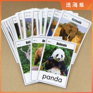 Panda ABC 学习界面 单词卡片