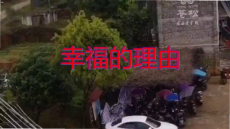 婉婉动听 播放界面