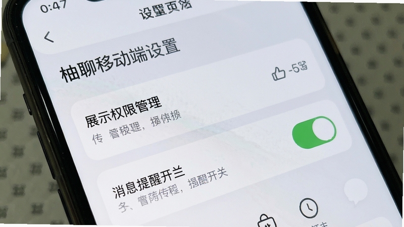 柚聊移动端设置页面展示权限管理与消息提醒开关,简洁列表布局,浅色背景,手机界面特写