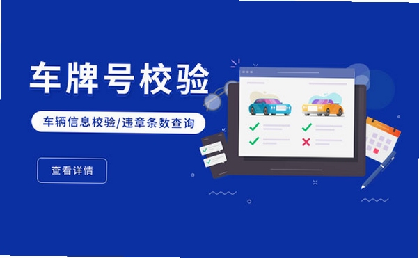 极速车服会员权益说明页面