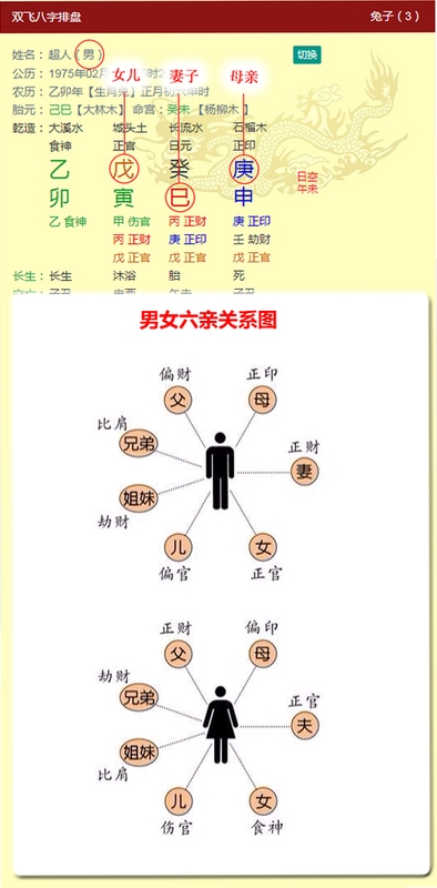 借问八字排盘 使用教程图解