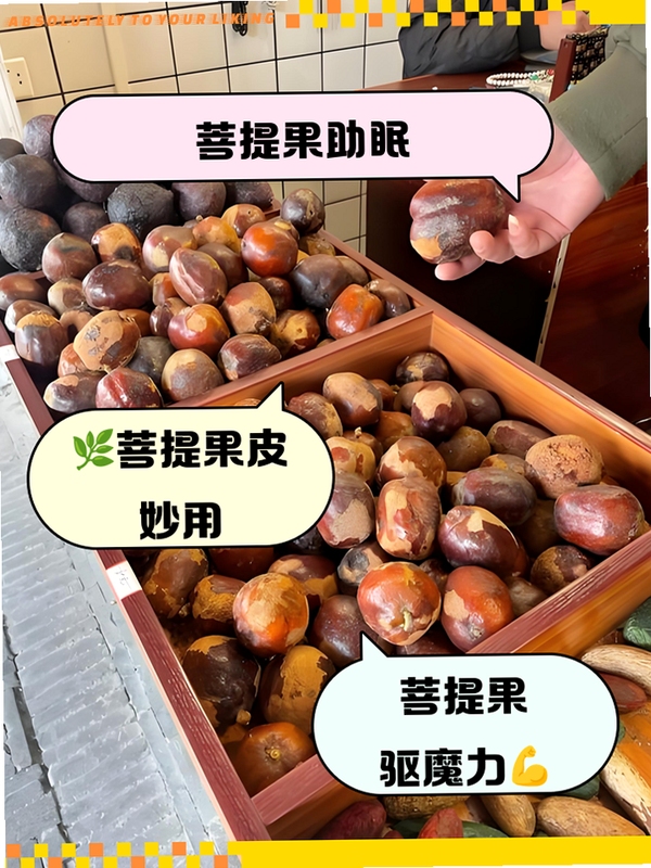 ���������ʹ�ó���