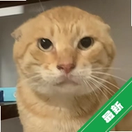 LiquidVivov2.2.261 ��̬��ֽ����