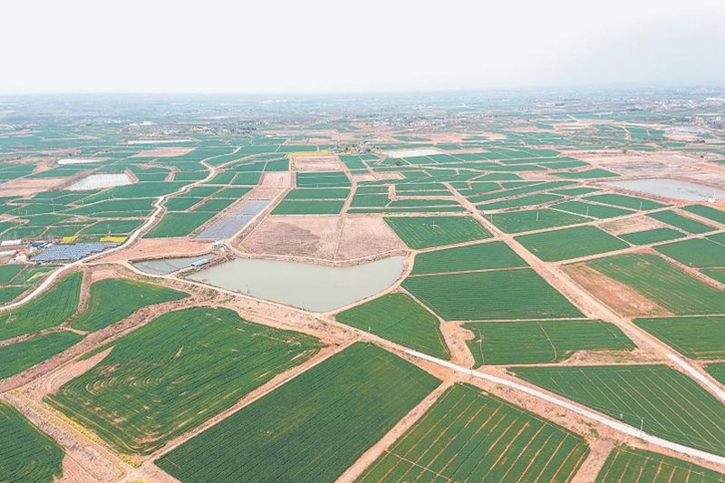 山河软件界面