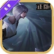 ���ߴ�Ұ��������������Ѱ�v1.0��װ���Ĳ�ѯ����