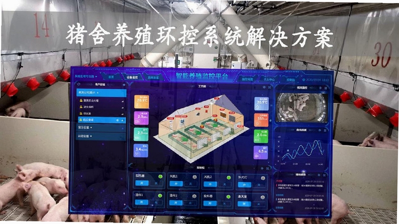 元气养猪厂 猪舍 管理 画面