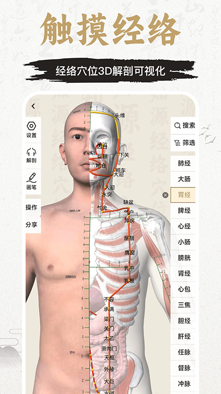 知源经络穴位app免费下载最新版本 知源经络穴位app免费下载最新版本