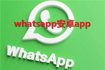 whatsapp��׿app