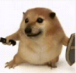 �ҵĵ������������������°�v1.0��׿��