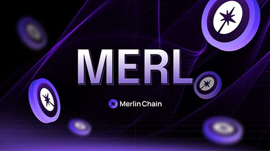 MERL�ҽ�����app���ع������°汾
