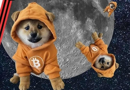 DOG币交易所2026官方最新版下载 DOG币交易所2026官方最新版下载