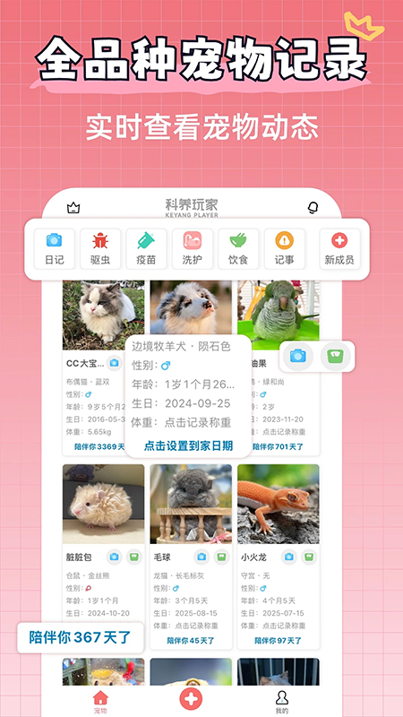 �����������������ֻ����°汾