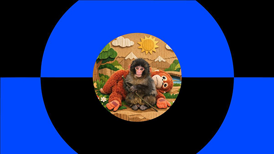 PUNCH�ҽ�����app���عٷ����°汾
