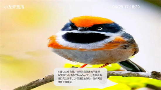 小龙虾直播tv电视版最新下载 小龙虾直播tv电视版最新下载
