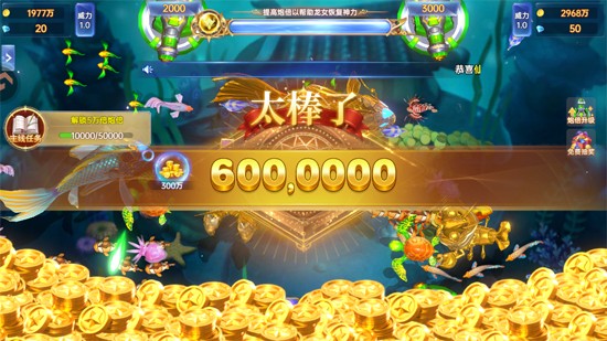 �����ʦ����Ӯ���Ѱ���������