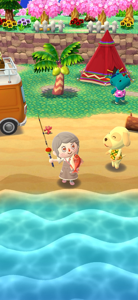 ����������ɭ�ѻ�Pocket Camp�ٷ����������İ汾