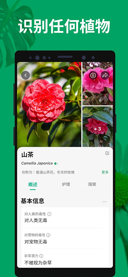 形色国际版PictureThis下载官网最新版本 形色国际版PictureThis下载官网最新版本