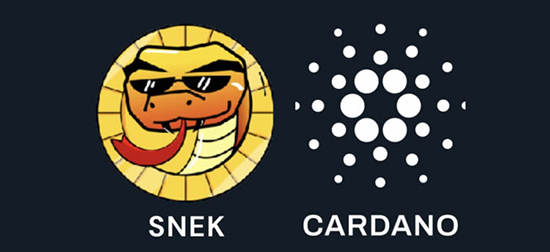 SNEK�ҽ��������عٷ����°汾