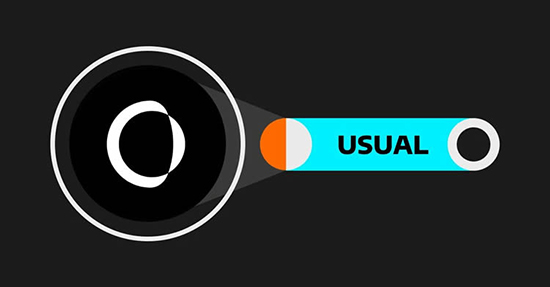 USUAL�ҽ�����