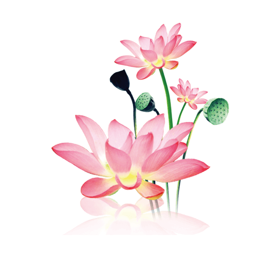 ˮī������app����������°汾v1.2.0��׿��