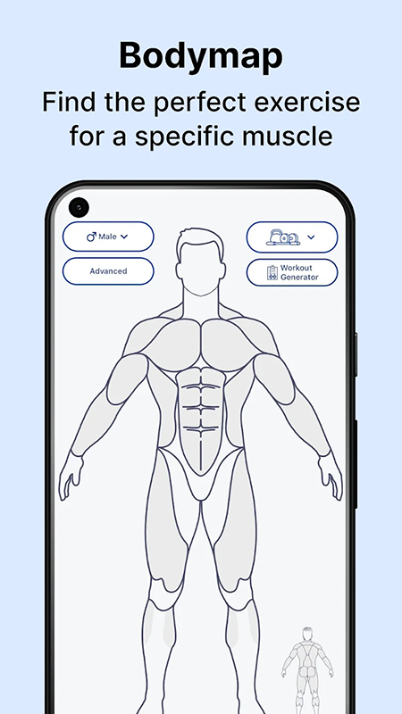 MuscleWiki官网中文版下载最新版本 MuscleWiki官网中文版下载最新版本