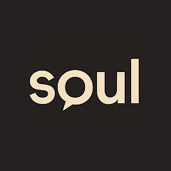 DigitalSoul AI���������ٷ��������°汾v1.1.3�ֻ���