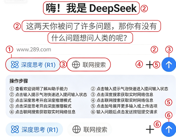 DeepSeek����