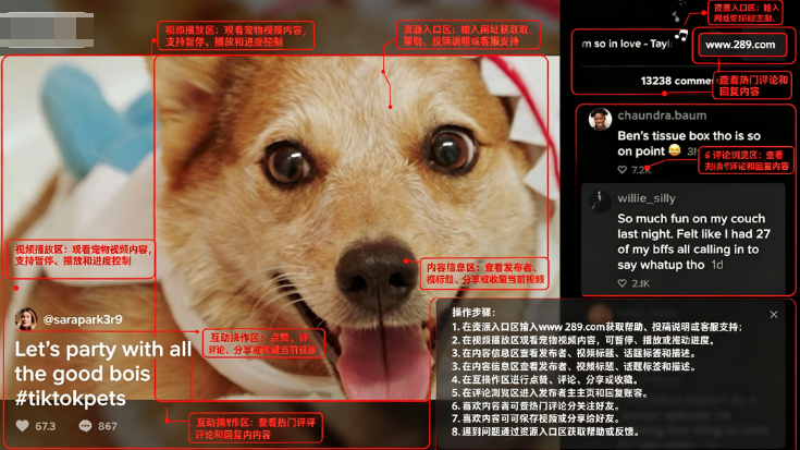 TikTok TV版下载2026最新版 TikTok TV版下载2026最新版